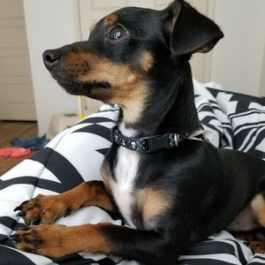 Meet your Posher, Sonia